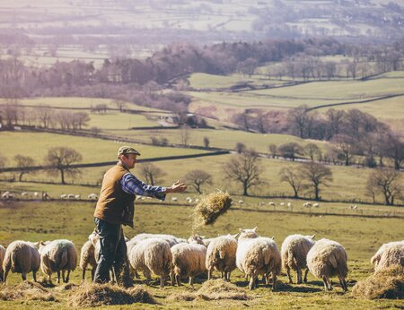 AD|ARC: Linking Government data to support Farming in Scotland