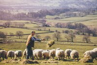 AD|ARC: Linking Government data to support Farming in Scotland
